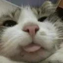auh