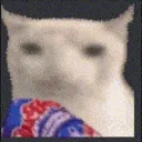 cat_eating