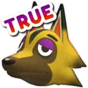 KyleTRUE