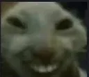 xD xD
