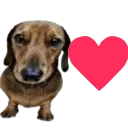 <:sagw:1462394455494758517>