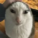 jago_7