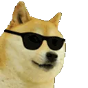 doggo_swag doggo_swag