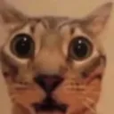 cuh