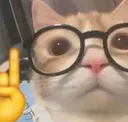 y_nerd