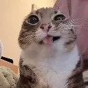 emoji_23