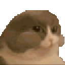 catnum