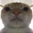 ashu_stare