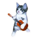kittyholding_guitar