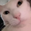 Andthenwhat Andthenwhat