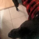 bearsweaterwowww