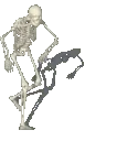 SKELETON