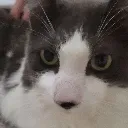 gary