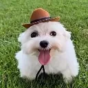 feliz feliz