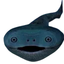 sup