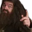Hagrid_isaret