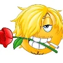 sanji_heyladies