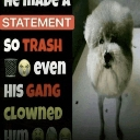 crazystatement Discord sticker from creator's paradise