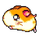 Hamtaro