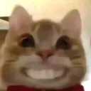 smilecat2