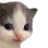 hehe