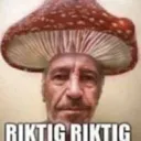 riktik