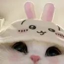 cutehi