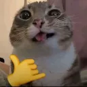 cat_freaky
