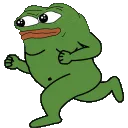 80202peperun 80202peperun