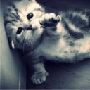 __ Discord Emoji | ঌ𝔏𝔞𝔵𝔞𝔫𝔳𝔢𝔯𝔢 𝔥𝔞𝔰𝔭𝔦𝔱𝔞𝔩 .