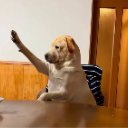 __ Discord Emoji from ঌ𝔏𝔞𝔵𝔞𝔫𝔳𝔢𝔯𝔢 𝔥𝔞𝔰𝔭𝔦𝔱𝔞𝔩 .