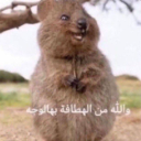 __ custom emote from ঌ𝔏𝔞𝔵𝔞𝔫𝔳𝔢𝔯𝔢 𝔥𝔞𝔰𝔭𝔦𝔱𝔞𝔩 .