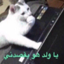 __ Discord sticker - ঌ𝔏𝔞𝔵𝔞𝔫𝔳𝔢𝔯𝔢 𝔥𝔞𝔰𝔭𝔦𝔱𝔞𝔩 .