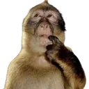 thinking