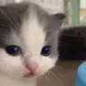 hehe0_owo