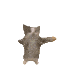 catyippe Discord emoji