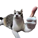 thumbsup thumbsup