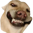 BoeSmile