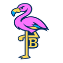:TampabayFlamingos:
