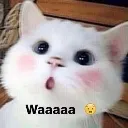emoji_29