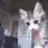 Yo_Dap_Kitten