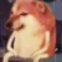 dogeia
