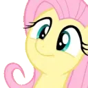 FlutterHeadbob