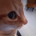 sideeyee
