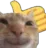 cat_good
