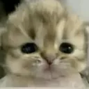 NR_why NR_why