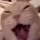 Kjjj Kjjj
