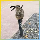 Meowtachi