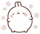 molang