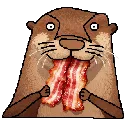 OtterBacon